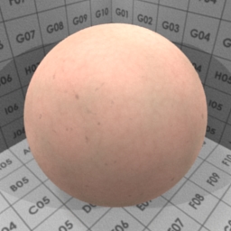 Preview for the "Skin" blender material