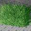 Download the Grass (simple green) material from the Fibre/Fur category for blender