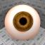 Download the Brown Eye material from the Organic category for blender