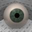 Download the eye material from the Organic category for blender